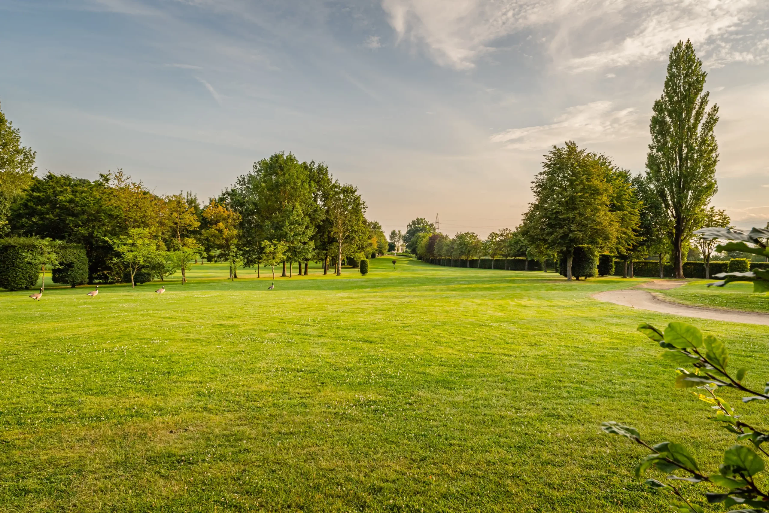 Red Eagle - parcours de golf bordé d'arbres